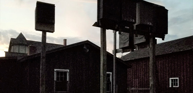 A dark image of the bat house at Stonefield